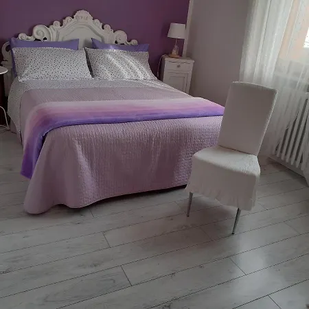 Viola 12 *